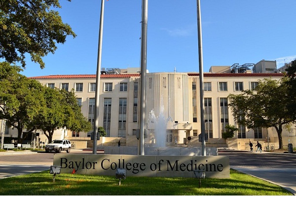 Baylor College of Medicine Acceptance Rate and Admission Guide